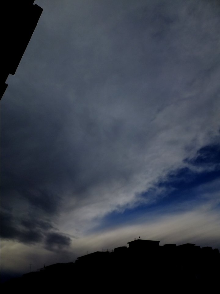 nori-Vitan2015_0130_220524