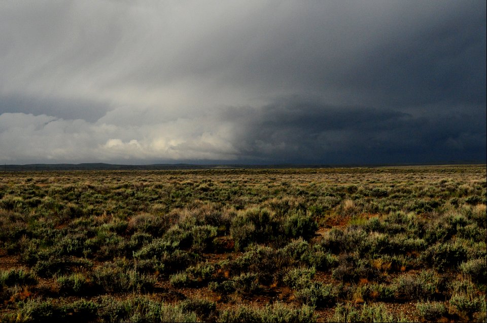 Rain in the sage steppe at Seedskadee National Wildlife Refuge Wyoming