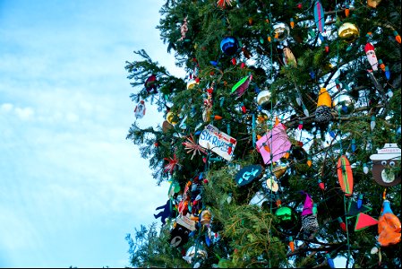 CapitolXmasTreeLighting-WashingtonDC-010