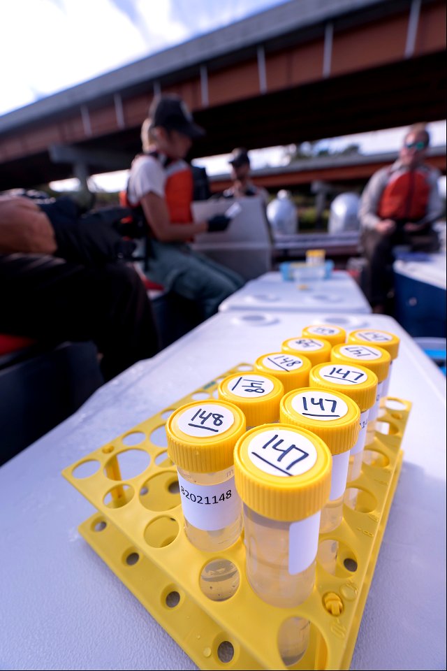 Invasive Carp eDNA Sampling on the James River in South Dakota.