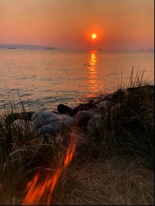The Light is Fiery