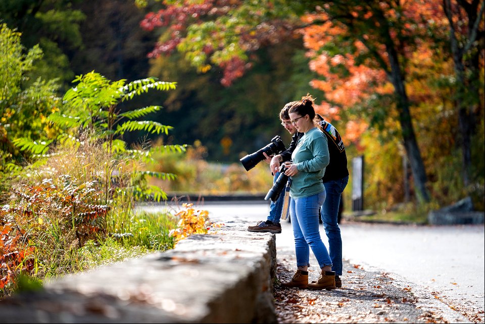 Tunnel Overlook Photographers