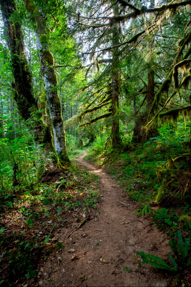 PNTA-Swift Creek-Mount Baker-15