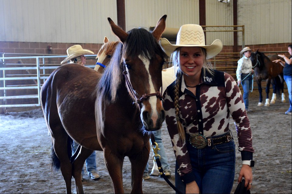 Northern Utah Wild Horse & Burro Festival - 2022 photo