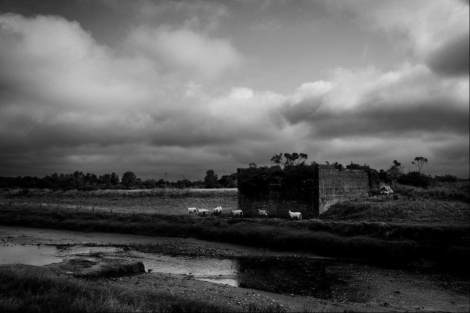 Three from Scotland (3 of 3)