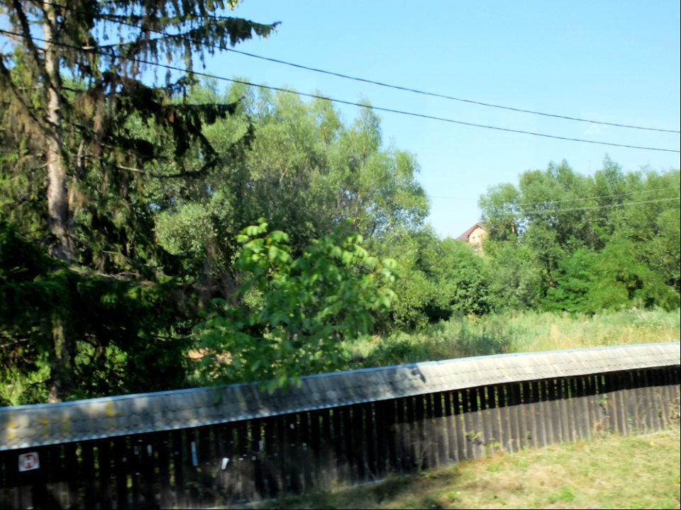 pelerinaj_Varatic2015_0808_150552