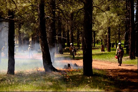 Crater Sinks prescribed fire project