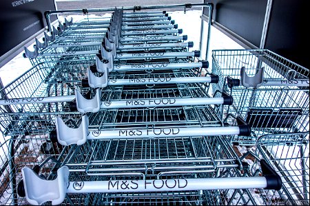 They took me food shopping!