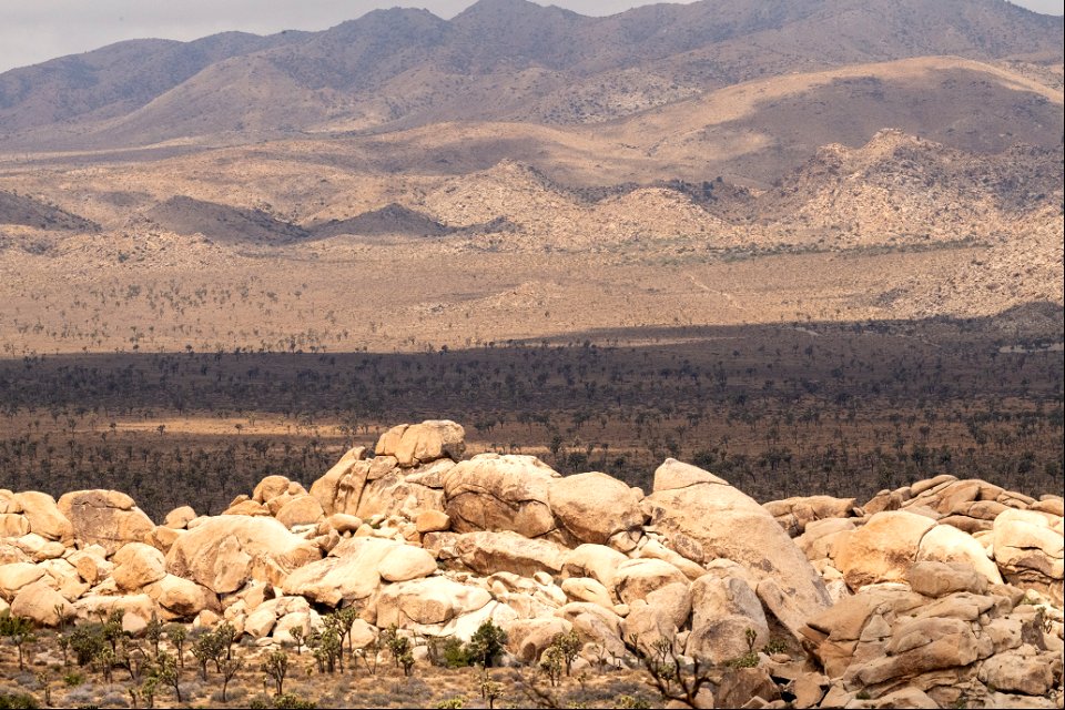 Boulders photo