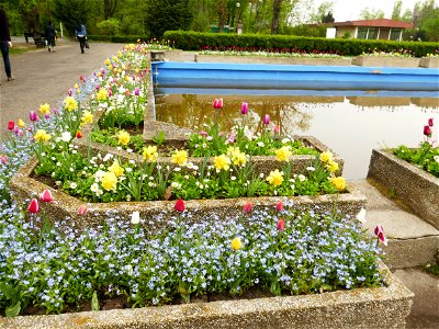 Herestrau Park in spring (75) photo