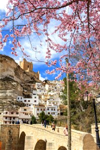 Alcalá del Júcar en flor