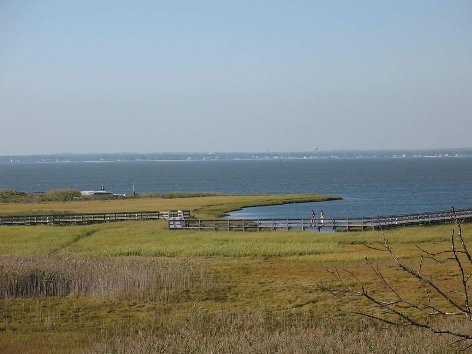 Watch Hill Nature Trail Fire Island National Seashore
