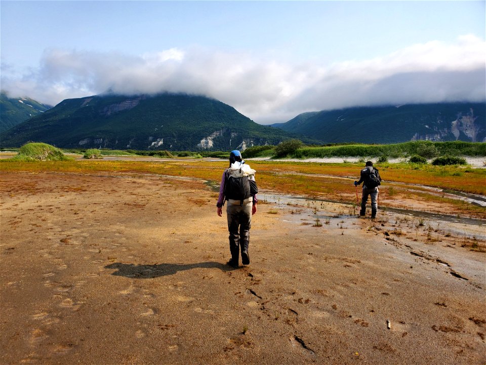 Katmai Bay