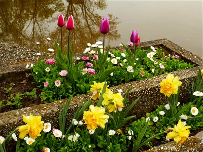 Herestrau Park in spring (83)