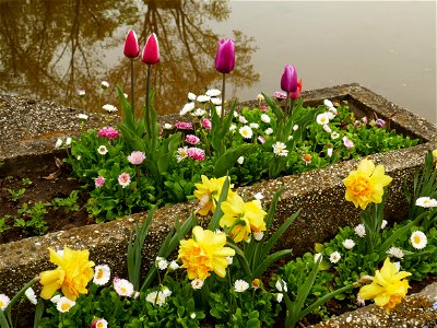 Herestrau Park in spring (83) photo