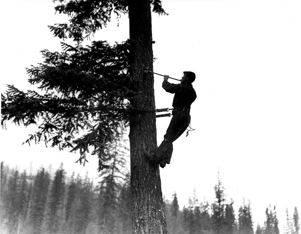 340391 CCC Camp Growden, Colville NF, WA 1936 photo