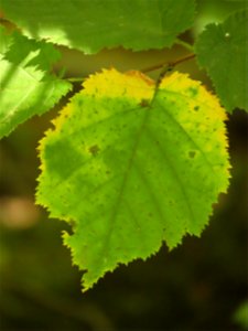 20220907-FS-Superior-SAR-012