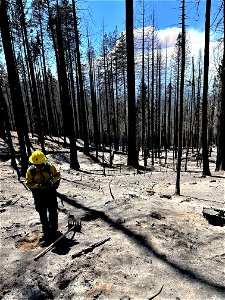 Washburn Post-Fire photo