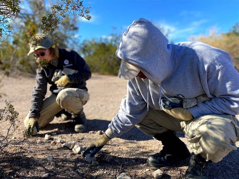AmeriCorps crew at Palm Springs-South Coast Field Office