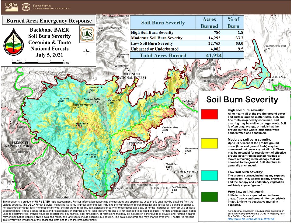 Backbone Fire Burn Severity Map