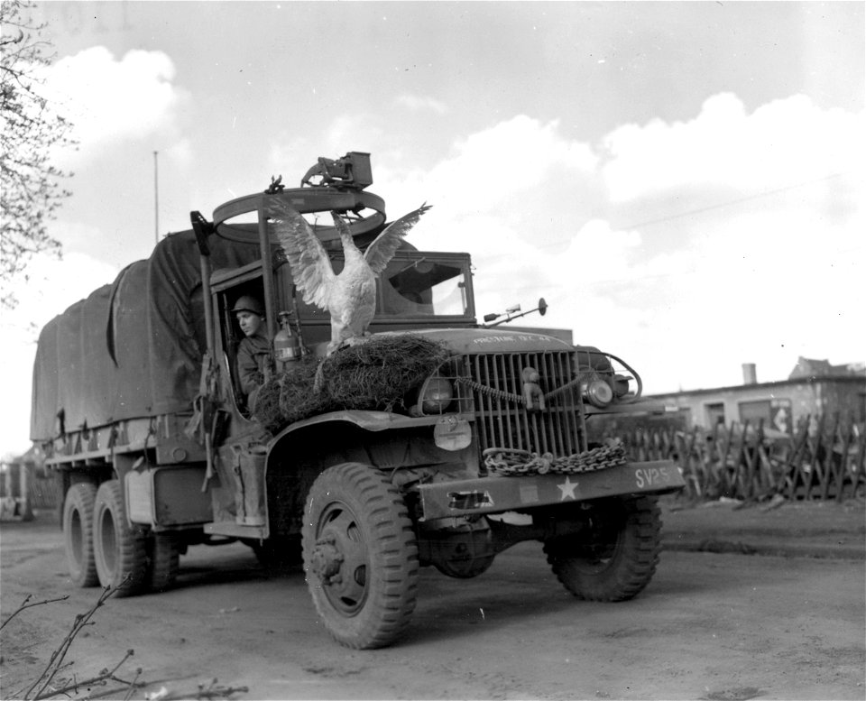SC 336843 - Pvt. J.H. McGill, 226 E 7th St., Flora, Ill., 771st Tank Battalion, driving his truck, found this stuffed bird in the streets of Haltern, Germany, and mounted it on the mud guard.