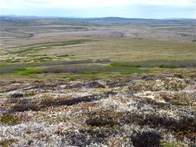 Andreafsky Wilderness photo