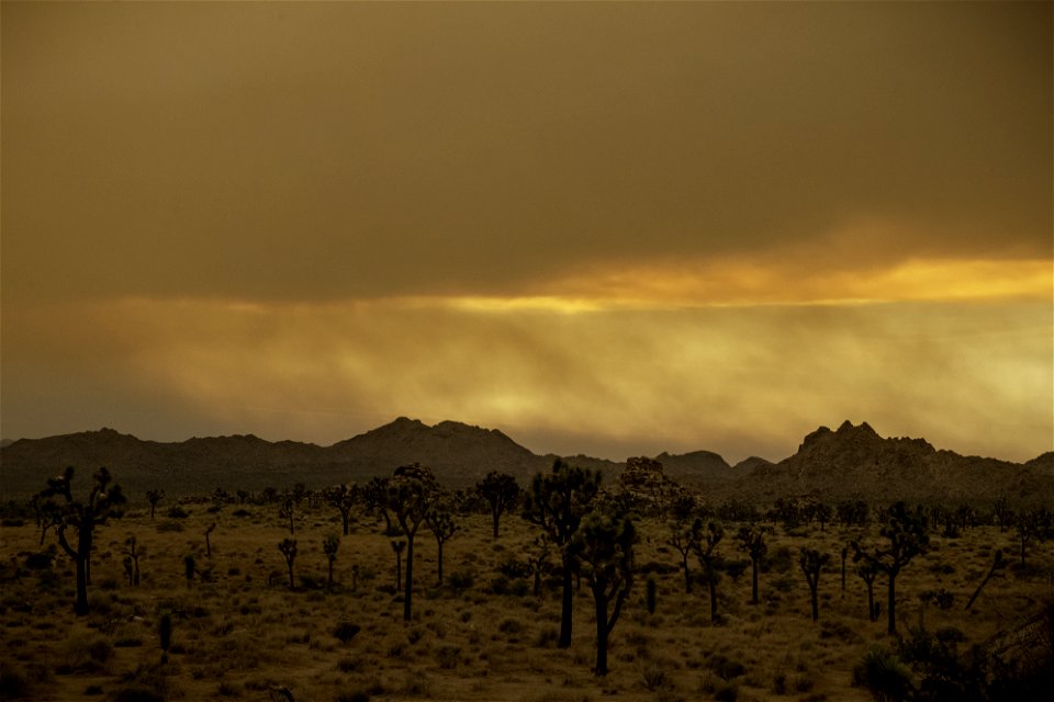 Quail Springs under smoke from the Apple Fire