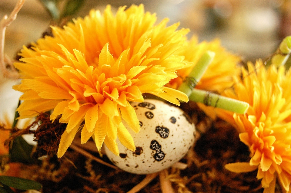 Reed ornament flowers