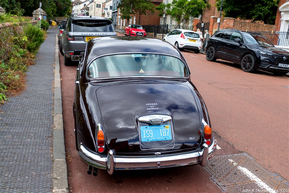 Jaguar Seen in West Malling Kent England