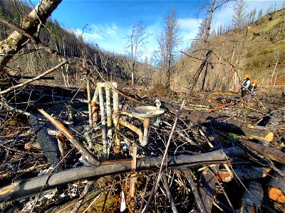 Remains of drinking fountain after Riverside Fire, Mt. Hood National Forest