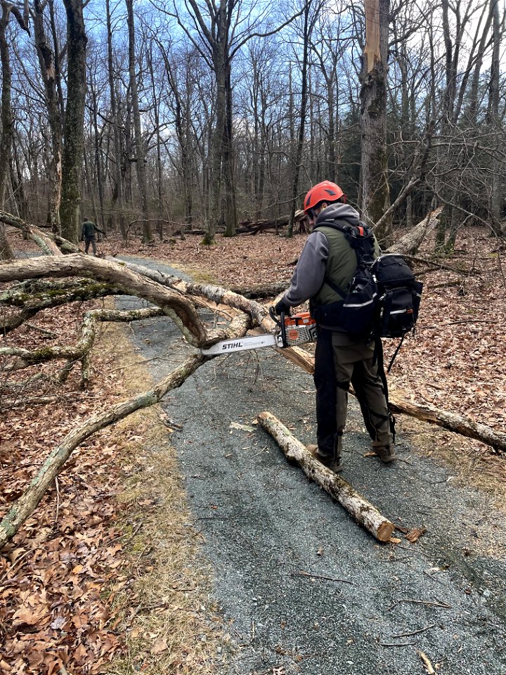 Limberlost Before (1)