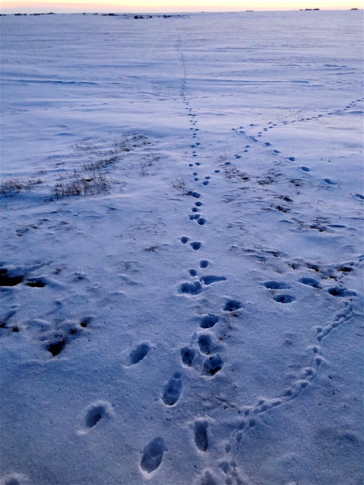 A Long Walk Out There photo