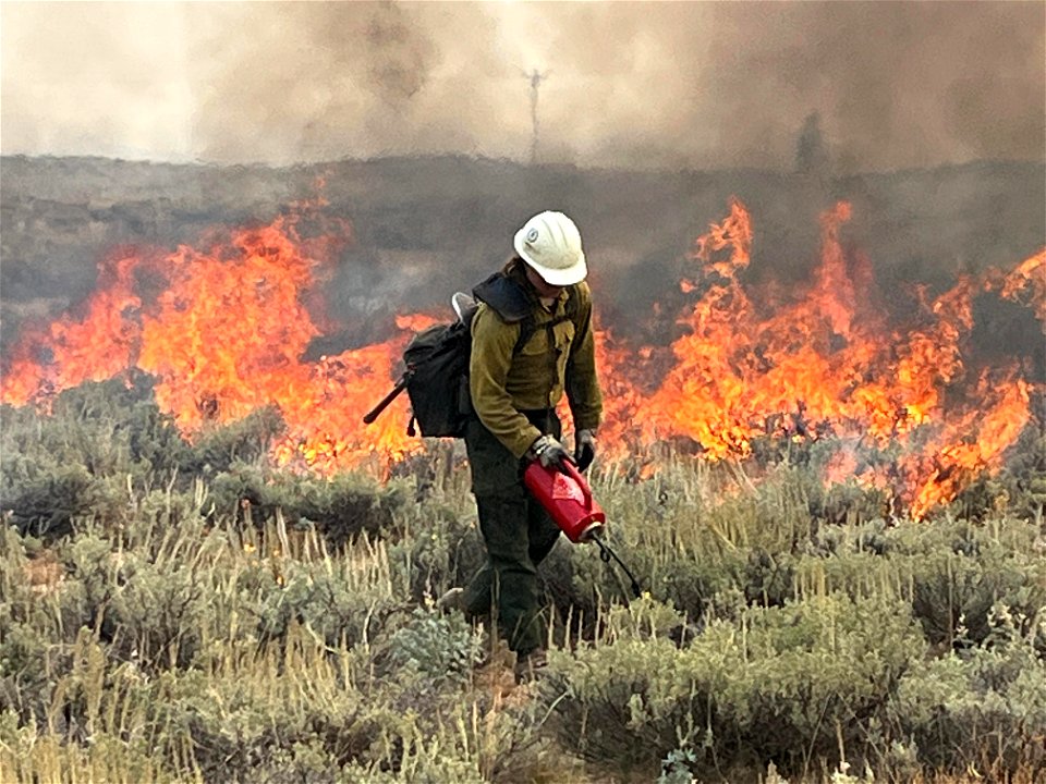 Firing Operation, Boise IHC