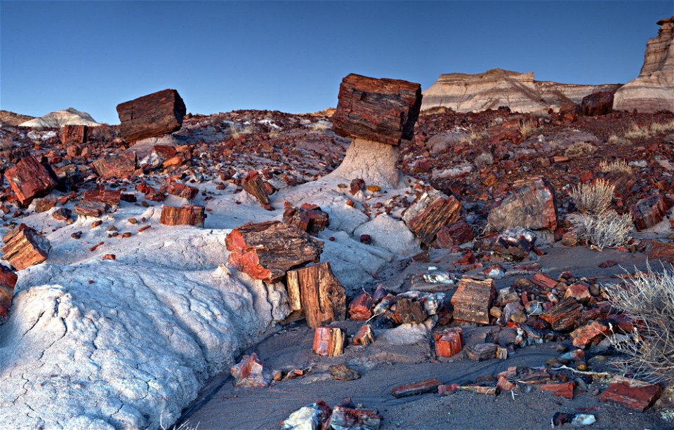 Jasper Forest petrified wood, NPS-Andrew V Kearns