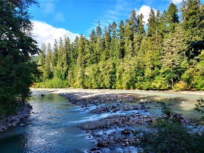 Sauk River from Clear Creek Bridge, Mt. Baker-Snoqualmie National Forest. Photo by Anne Vassar Sept. 13, 2021.