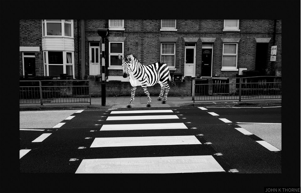 A ZEBRA CROSSING