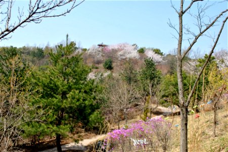 Younginsan Park Spring 2023