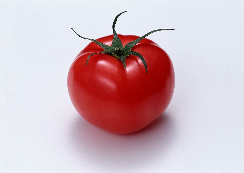 one fresh red tomato