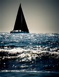 Black Sails photo