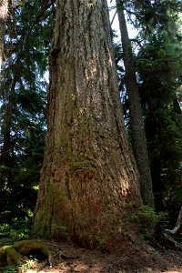 untitled-1342jpg_49364807667_o