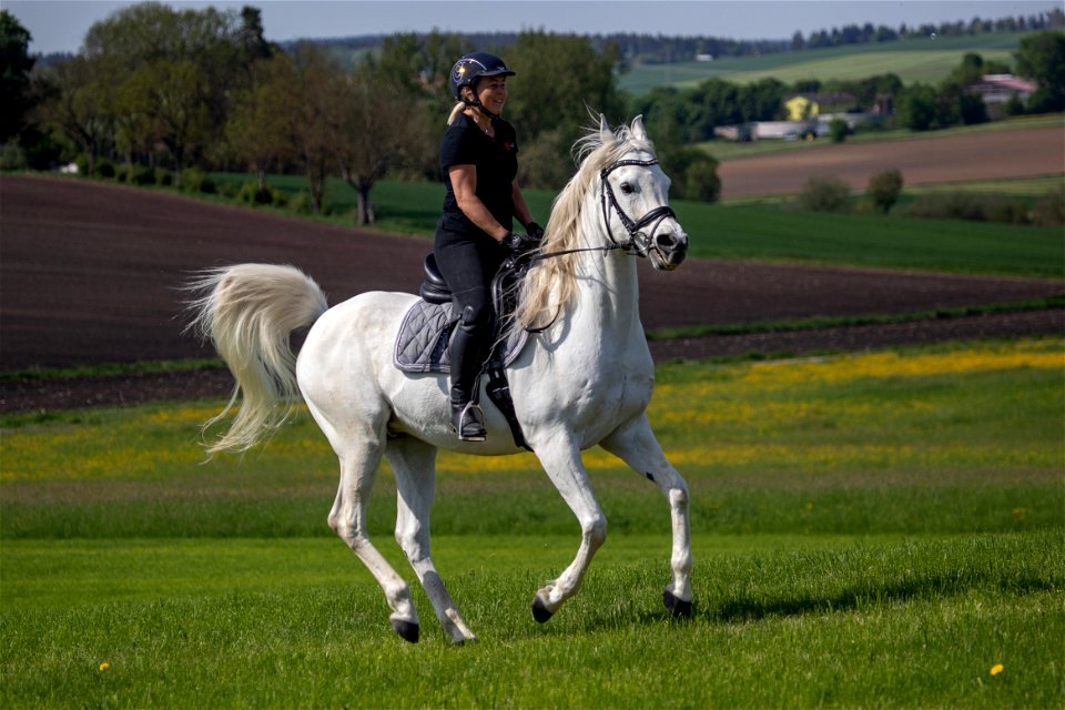 4-Dschesim_OS222687