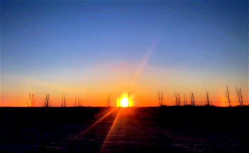 Wee Bits of Sun Dogs