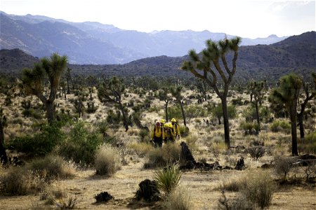Wildland fire crew patrolling near Quail Mountain