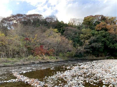 Akigawa River in Itsukaichi, Akiruno-shi