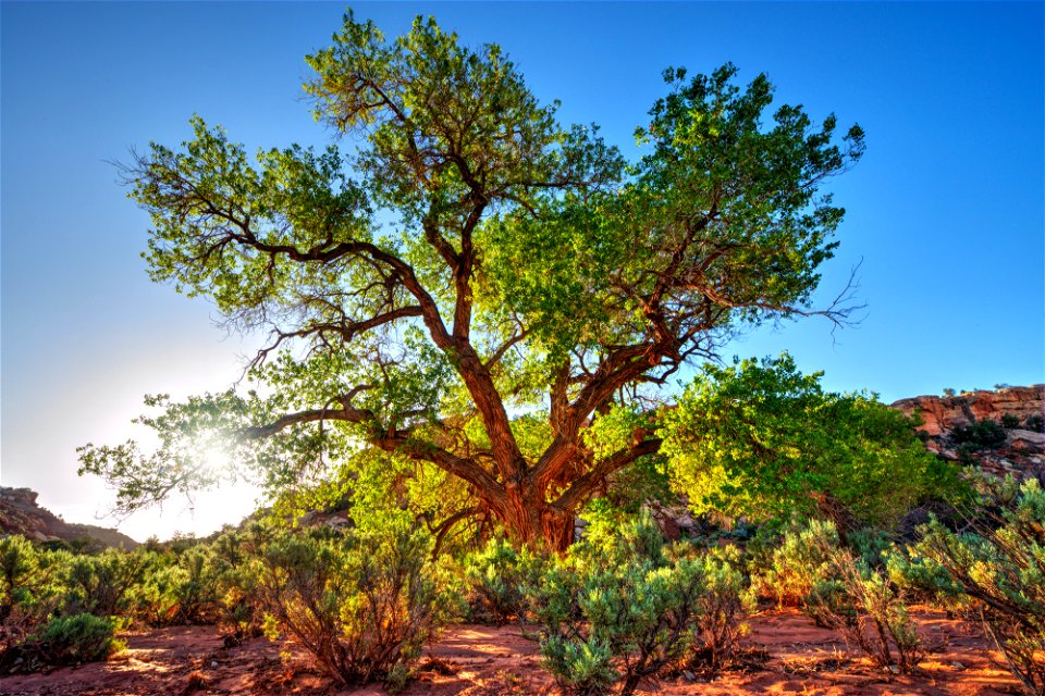 Grand Staircase-Escalante National Monument - 25th Anniversary