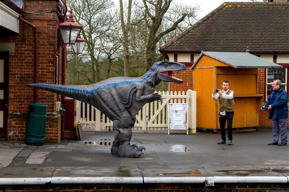 Dinosaur Bluebell Railway