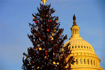 2022-1129-Capitol-ChristmasTree-Lighting-Ceremony (25) photo