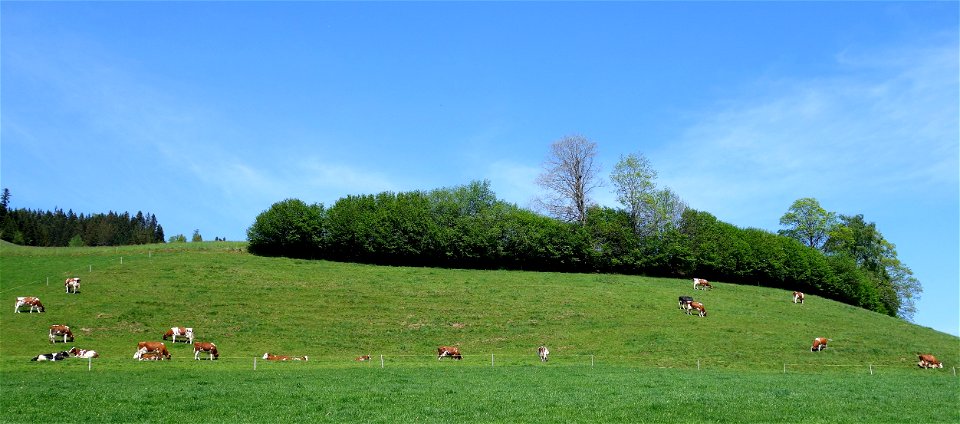 DSC05020