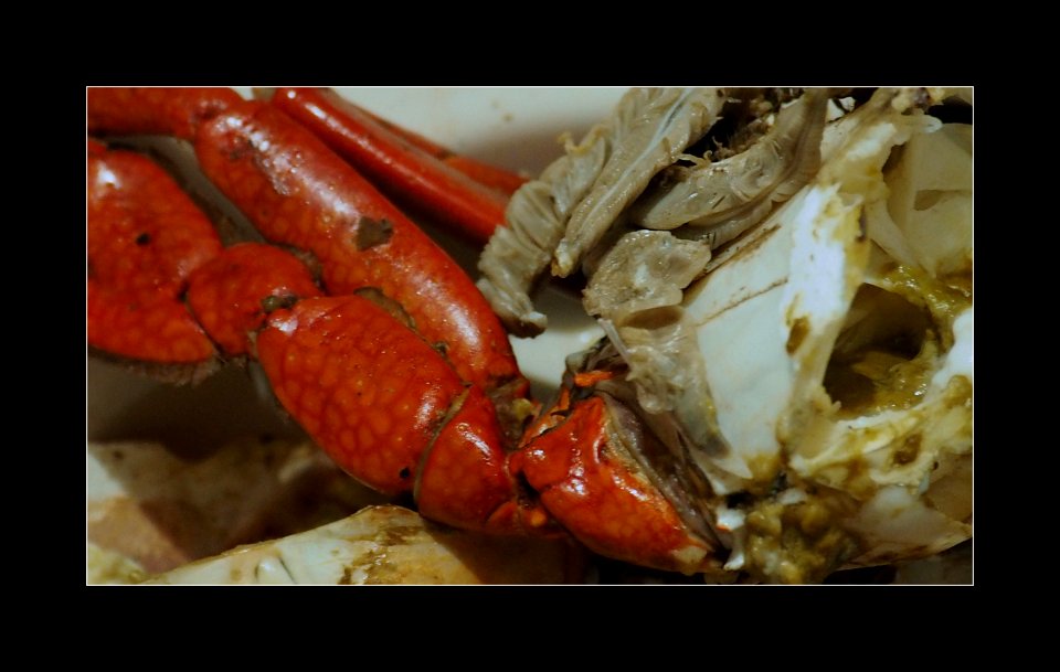 Holy crab