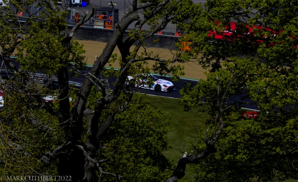 DSC_3193